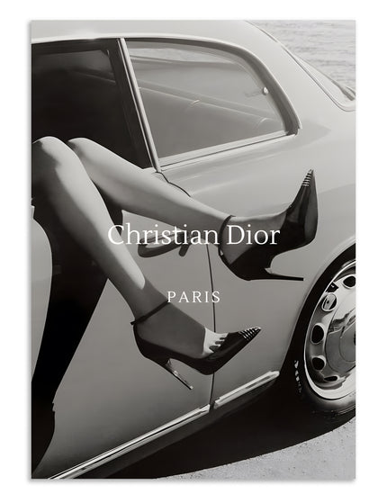 Christian Dior Paris Fashion Wall Art Lazywalls