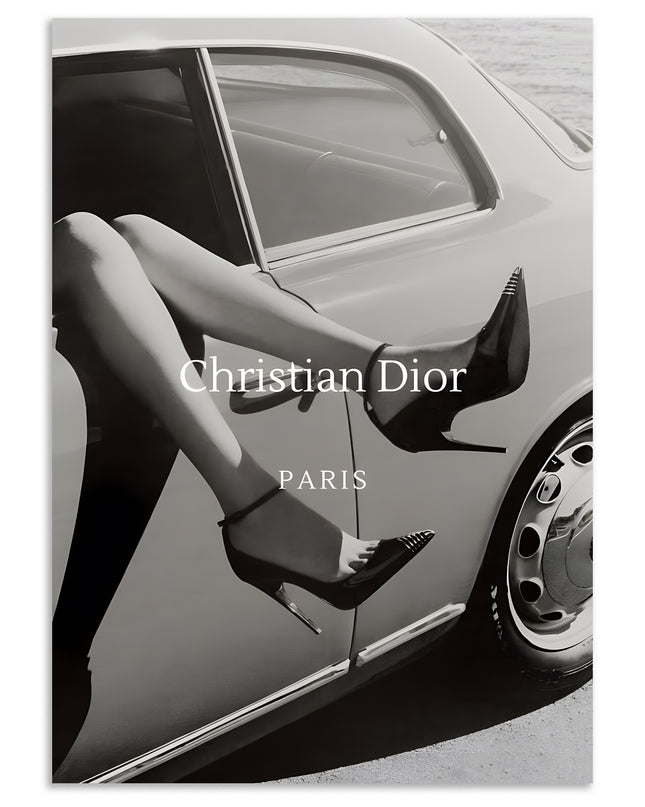 Christian Dior Paris Fashion Wall Art Lazywalls
