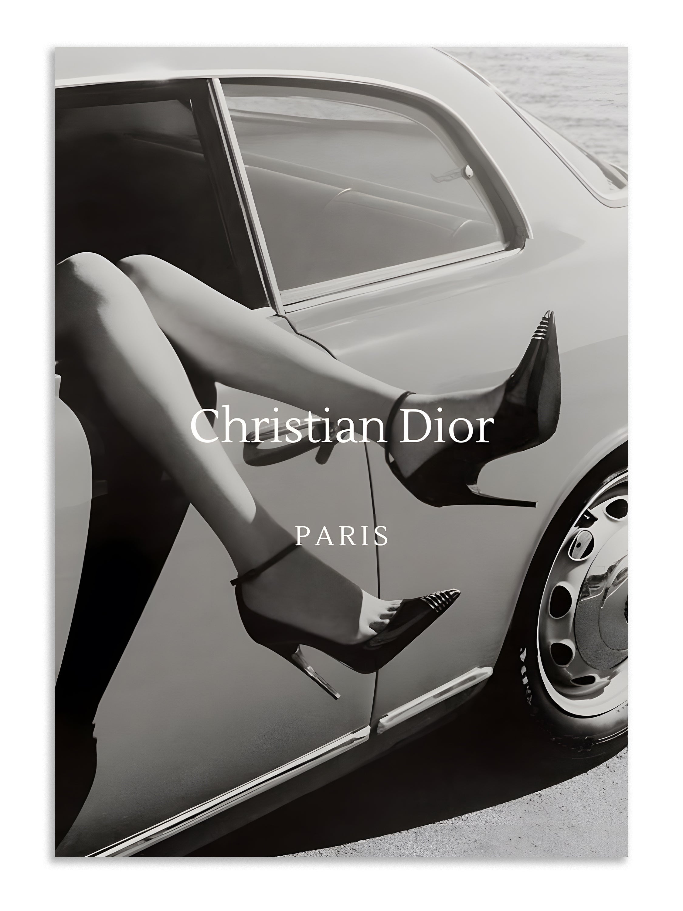 Christian Dior Paris Fashion Wall Art Lazywalls