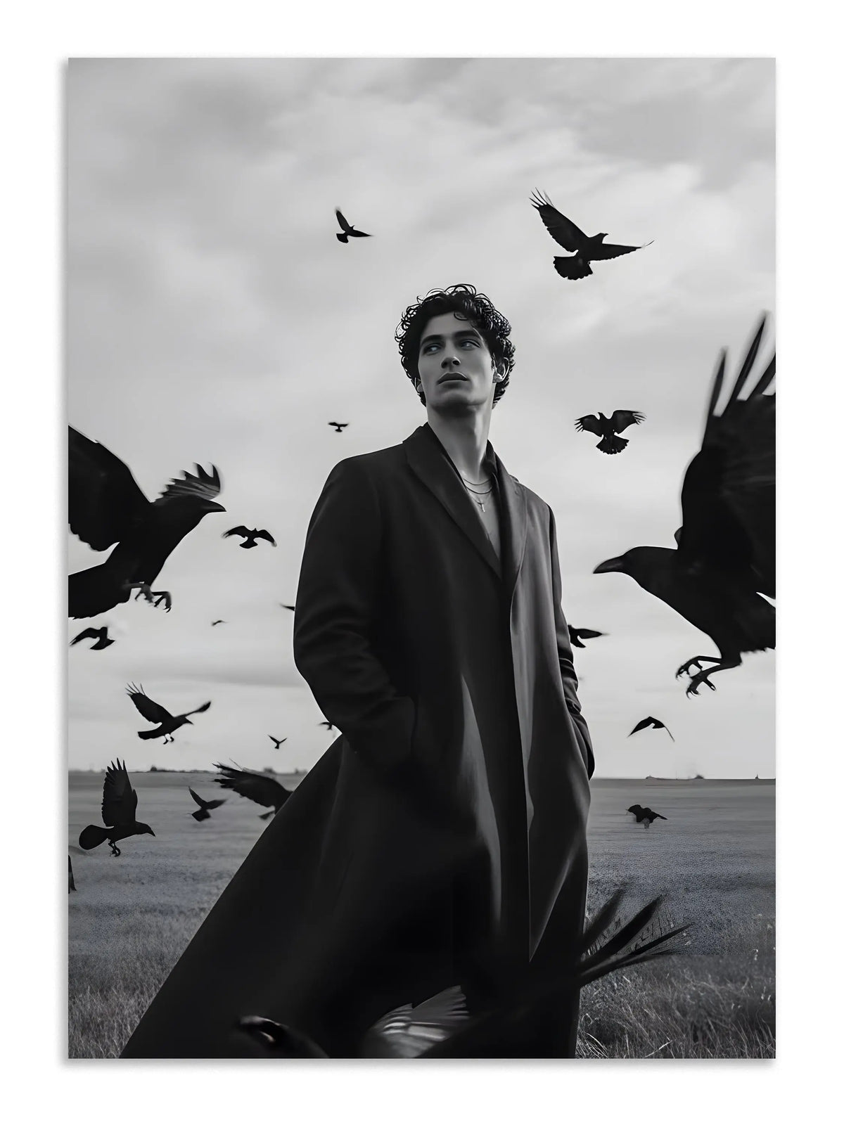 Dark Raven Fashion Editorial Wall Art Poster Lazywalls