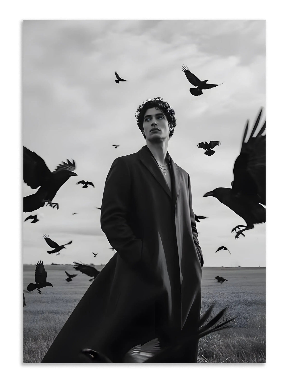 Dark Raven Fashion Editorial Wall Art Poster Lazywalls
