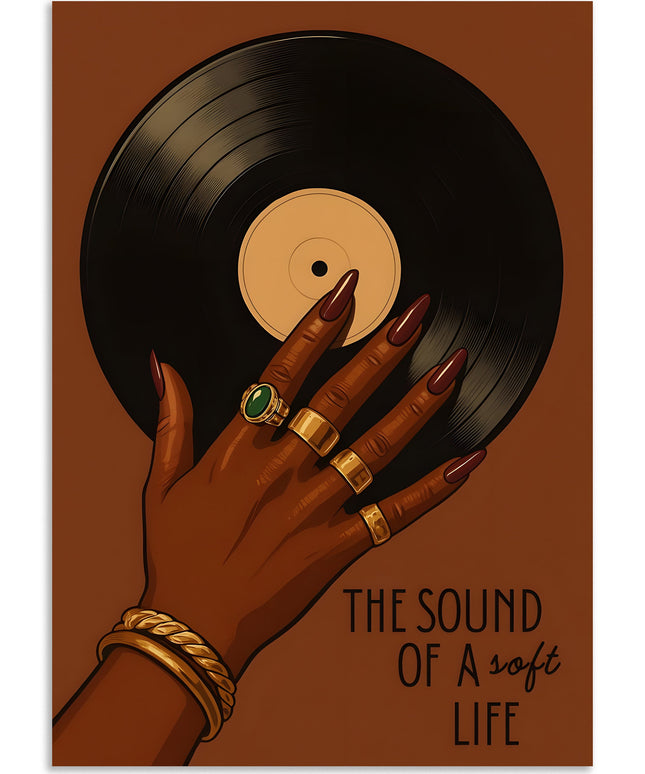 Vinyl record aesthetic poster wall decor Lazywalls