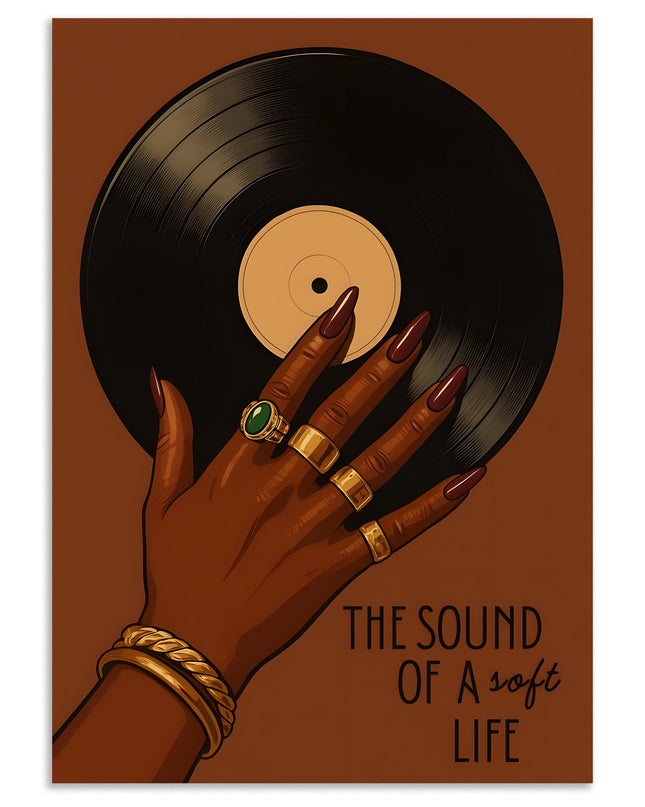 Vinyl record aesthetic poster wall decor Lazywalls
