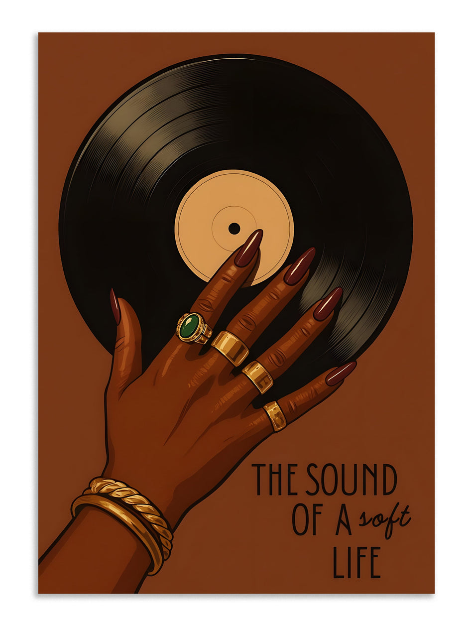 Vinyl record aesthetic poster wall decor Lazywalls