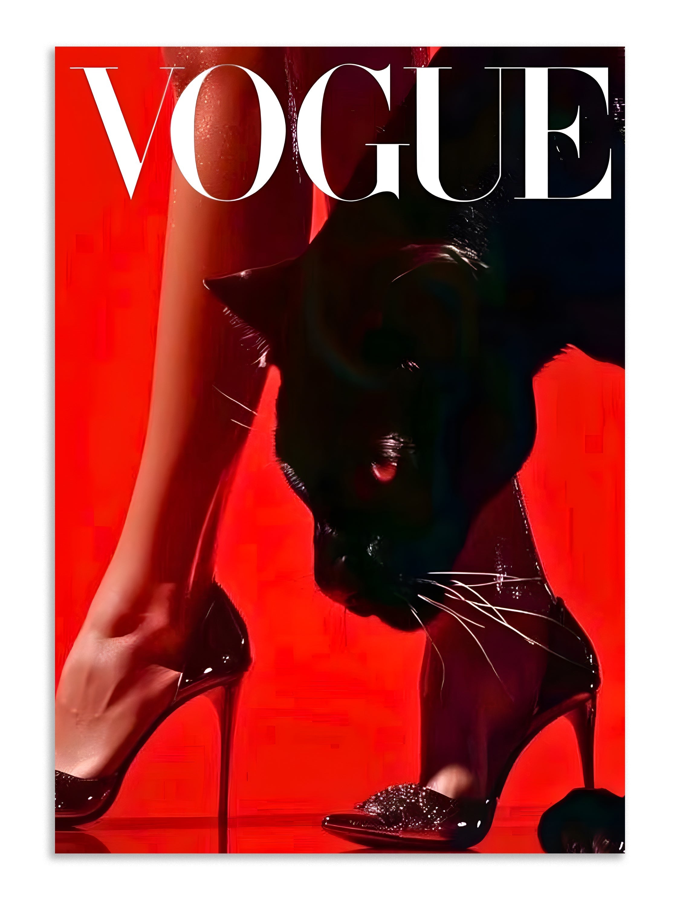 vogue black cat poster art Lazywalls